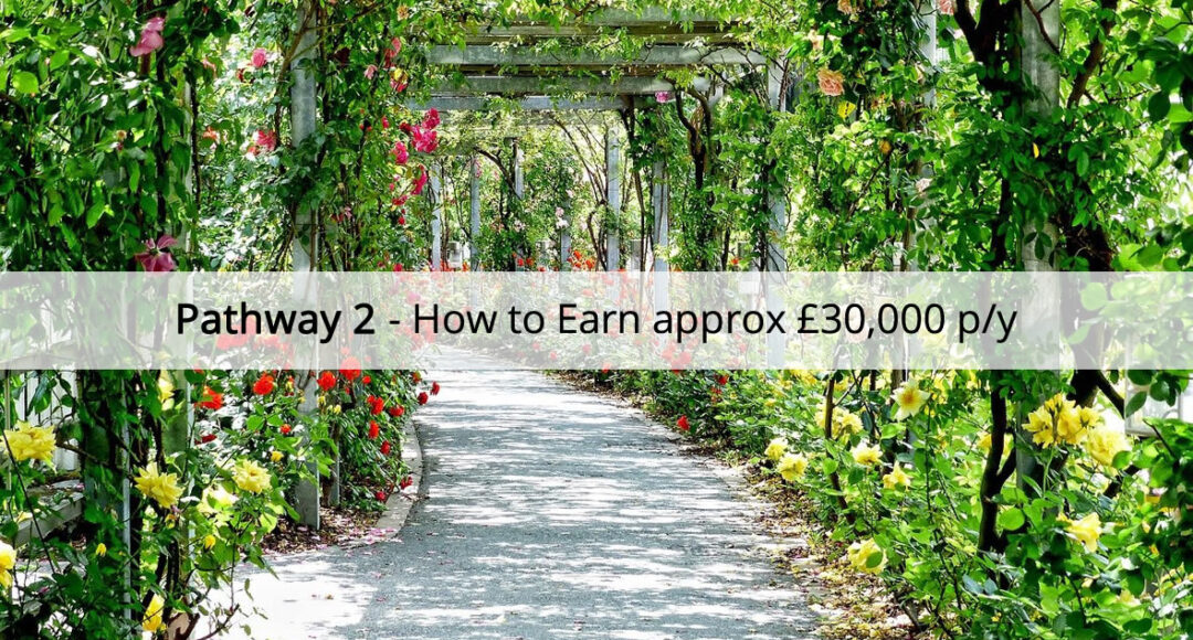 Pathway 2 - Earn £30k per year with Avon