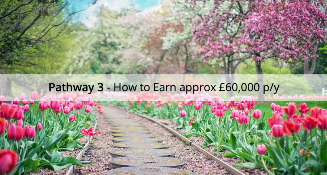 Pathway 3 - How to earn £60k per year with Avon